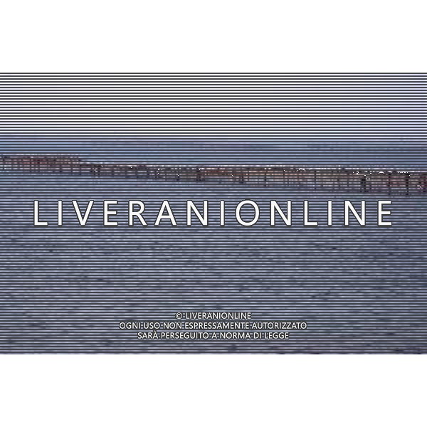 DIAP-ALLEVAMENTO DI COZZE AG ALDO LIVERANI SAS