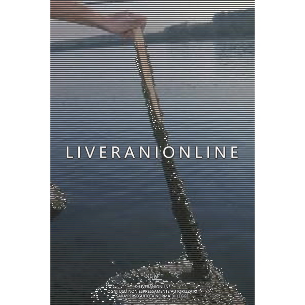 DIAP-ALLEVAMENTO DI COZZE AG ALDO LIVERANI SAS