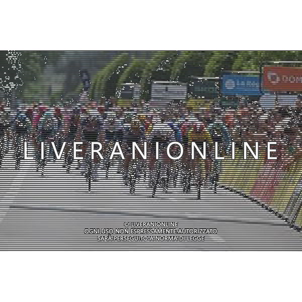 08-06-2025 Criterium Du Dauphine Libere; Tappa 01 Domerat - Montlucon; 2025, Uae Team Emirates - Xrg; 2025, Soudal - Quick Step; 2025, Alpecin - Deceuninck; 2025, Visma - Lease A Bike; Pogacar, Tadej; Evenepoel, Remco; Van Der Poel, Mathieu; Vingegaard, Jonas; Montlucon; ©SIROTTI - AGENZIA ALDO LIVERANI SAS