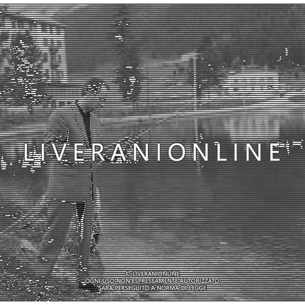NEG-RETROSPETTIVA NICO FIDENCO CANTANTE NELLA FOTO NICO FIDENCO AL LAGO DI MISURINA NELL\'ANNO 1964 FOTO CESARE AMADORI-AG ALDO LIVERANI SAS