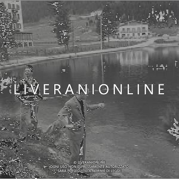 NEG-RETROSPETTIVA NICO FIDENCO CANTANTE NELLA FOTO NICO FIDENCO AL LAGO DI MISURINA NELL\'ANNO 1964 FOTO CESARE AMADORI-AG ALDO LIVERANI SAS