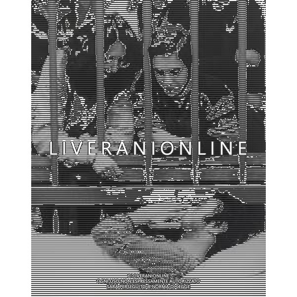 ST-RETROSPETTIVA MARINA ZONI BRIGATE ROSSE NELLA FOTO MARINA ZONI CON CORRADO ALUNNI A SAN VITTORE MILANO NELL\'ANNO 1983 AG ALDO LIVERANI SAS