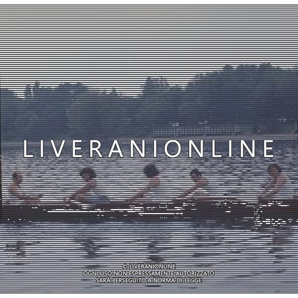 DIAP-RETROSPETTIVA COMPLESSO MUSICALE DIK DIK NELLA FOTO IL COMPLESSO MUSICALE DEI DIK DIK - ANNI 1969-1972 FOTO GINO BALDAN-ARCHIVIO GIOVANNI LIVERANI-AG ALDO LIVERANI SAS