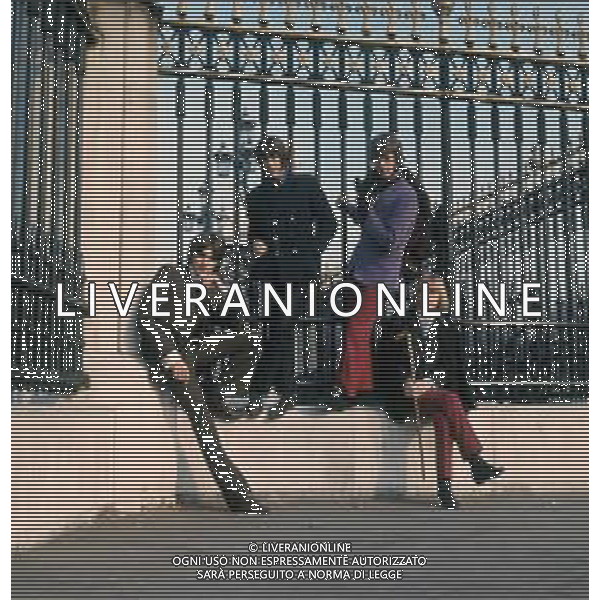 COL-RETROSPETTIVA COMPLESSO MUSICALE THE PRIMITIVES NELLA FOTO IL COMPLESSO MUSICALE THE PRIMITIVES A LONDRA ANNI 1965-70 AG ALDO LIVERANI SAS