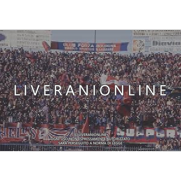 DIAP-RETROSPETTIVA TIFOSI BOLOGNA CALCIO NELLA FOTO I TIFOSI DEL BOLGNA CALCIO ANNO 1980-1982 AG ALDO LIVERANI SAS