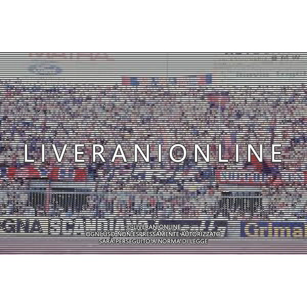 DIAP-RETROSPETTIVA TIFOSI BOLOGNA CALCIO NELLA FOTO I TIFOSI DEL BOLGNA CALCIO ANNO 1980-1982 AG ALDO LIVERANI SAS