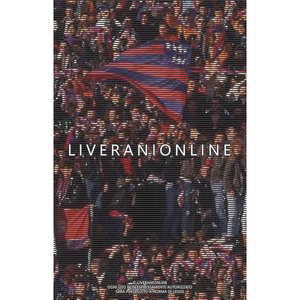 DIAP-RETROSPETTIVA TIFOSI BOLOGNA CALCIO NELLA FOTO I TIFOSI DEL BOLGNA CALCIO ANNO 1990-91-92 AG ALDO LIVERANI SAS 