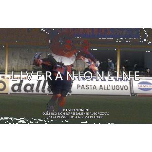 DIAP-RETROSPETTIVA TIFOSI BOLOGNA CALCIO NELLA FOTO I TIFOSI DEL BOLGNA CALCIO ANNO 1990-91-92 AG ALDO LIVERANI SAS 