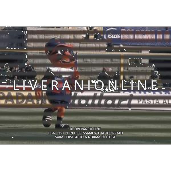 DIAP-RETROSPETTIVA TIFOSI BOLOGNA CALCIO NELLA FOTO I TIFOSI DEL BOLGNA CALCIO ANNO 1990-91-92 AG ALDO LIVERANI SAS 