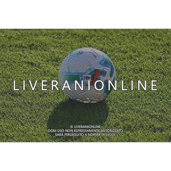 TVLS - Allenamento Fiorentina Calcio Ritiro precampionato, Viola Park Firenze 15.07.2025 nella foto nuovo pallone Puma Lega Serie A 2025/2026 ©TVLS Lisa Guglielmi / Agenzia Aldo Liverani Sas- AGENZIA ALDO LIVERANI SAS