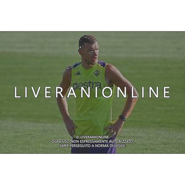 TVLS - Allenamento Fiorentina Calcio Ritiro precampionato, Viola Park Firenze 15.07.2025 nella foto Edin Dzeko ©TVLS Lisa Guglielmi / Agenzia Aldo Liverani Sas- AGENZIA ALDO LIVERANI SAS