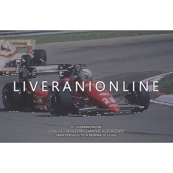 DIAP-RETROSPETTIVA RENE\' ARNOUX PILOTA F1 NELLA FOTO RENE\' ARNOUX NELL\'ANNO 1984 AG ALDO LIVERANI SAS