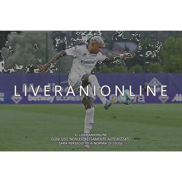 TVLS - Amichevole precampionato Fiorentina-Fiorentina Primavera, Viola Park Firenze 20.07.2025 nella foto Dodò ©TVLS Lisa Guglielmi / Agenzia Aldo Liverani Sas- AGENZIA ALDO LIVERANI SAS