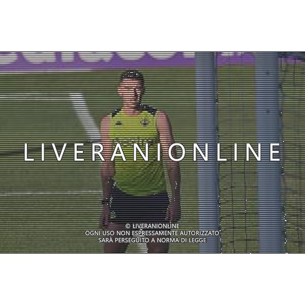 TVLS - Allenamento Fiorentina Calcio Ritiro precampionato, Viola Park Firenze 22.07.2025 nella foto Robin Gosens ©TVLS Lisa Guglielmi / Agenzia Aldo Liverani Sas- AGENZIA ALDO LIVERANI SAS