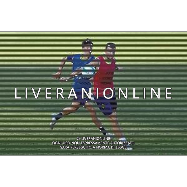 TVLS - Allenamento Fiorentina Calcio Ritiro precampionato, Viola Park Firenze 22.07.2025 nella foto Edin Dzeko ©TVLS Lisa Guglielmi / Agenzia Aldo Liverani Sas- AGENZIA ALDO LIVERANI SAS