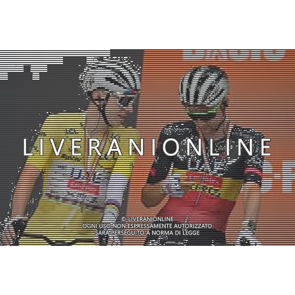 23-07-2025 Tour De France; Tappa 17 Bollene - Valence; 2025, Uae Team Emirates - Xrg; Pogacar, Tadej; Wellens, Tim; Bollene; ©SIROTTI - AGENZIA ALDO LIVERANI SAS