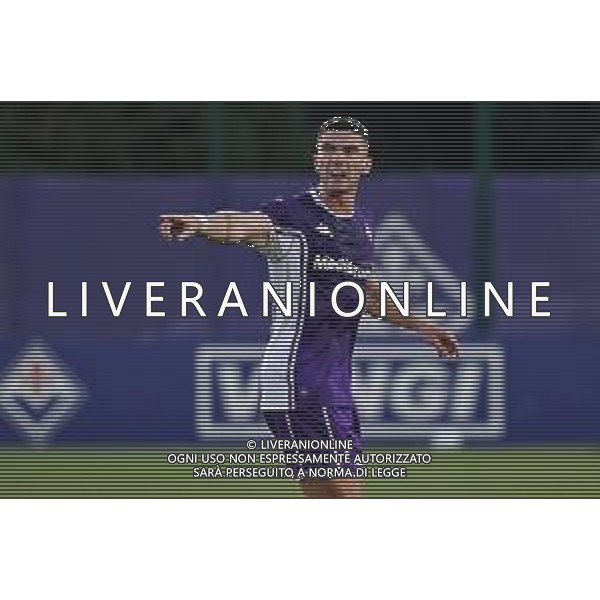 TVLS - Amichevole precampionato Fiorentina-Carrarese, Viola Park Firenze 25.07.2025 nella foto Robin Gosens ¬©TVLS Lisa Guglielmi / Agenzia Aldo Liverani Sas