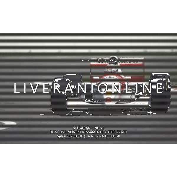 DIAP-RETROSPETTIVA MARTIN BRUNDLE PILOTA F1 NELLA FOTO MARTIN BRUNDLE NELL\'ANNO 1994 AG CONTROLUCE-AG ALDO LIVERANI SAS