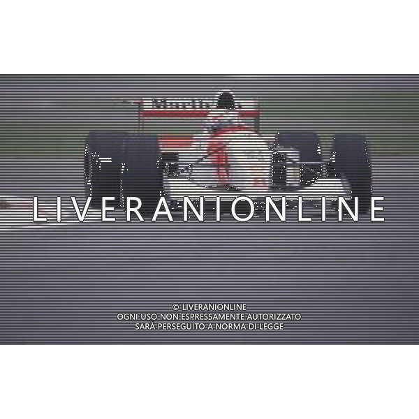 DIAP-RETROSPETTIVA MARTIN BRUNDLE PILOTA F1 NELLA FOTO MARTIN BRUNDLE NELL\'ANNO 1994 AG CONTROLUCE-AG ALDO LIVERANI SAS