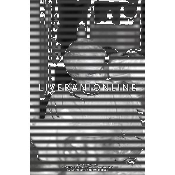 NEG-RETROSPETTIVA MICHELANGELO ANTONIONI REGISTA NELLA FOTO MICHELANGELO ANTONIONI A RIMINI NELL\'ANNO 1985 AG ALDO LIVERANI SAS