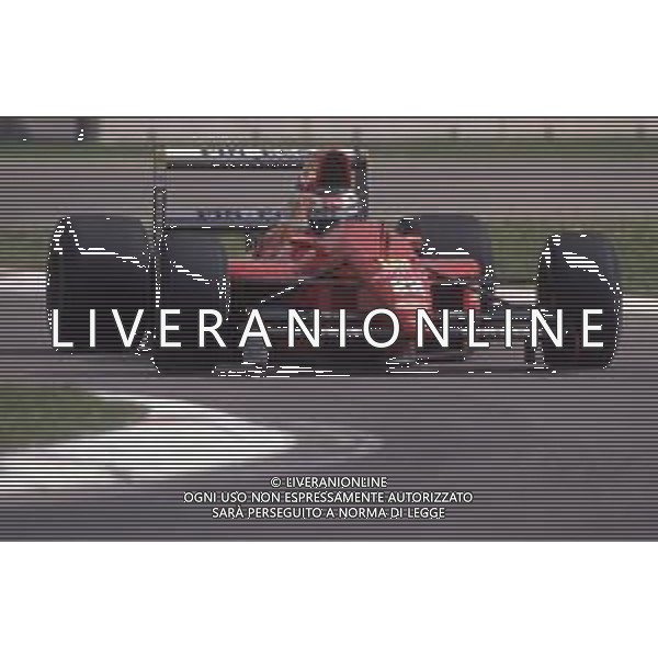 DIAP-RETROSPETTIVA LEHTO JARVI PILOTA F1 NELLA FOTO JARVI LEHTO NELL\'ANNO 1991 AG CONTROLUCA-AG ALDO LIVERANI SAS
