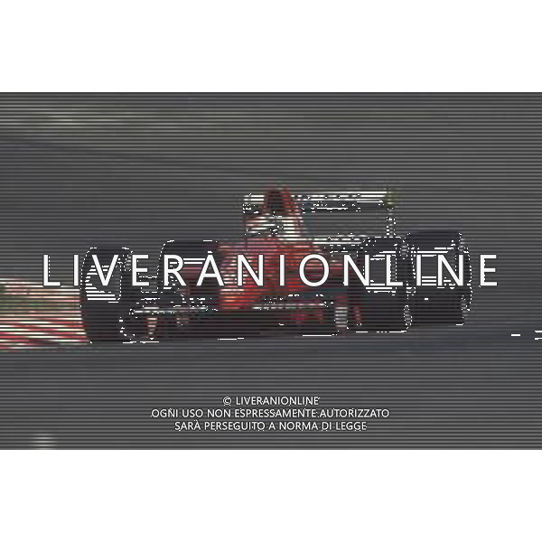 DIAP-RETROSPETTIVA LEHTO JARVI PILOTA F1 NELLA FOTO JARVI LEHTO NELL\'ANNO 1991 AG CONTROLUCA-AG ALDO LIVERANI SAS