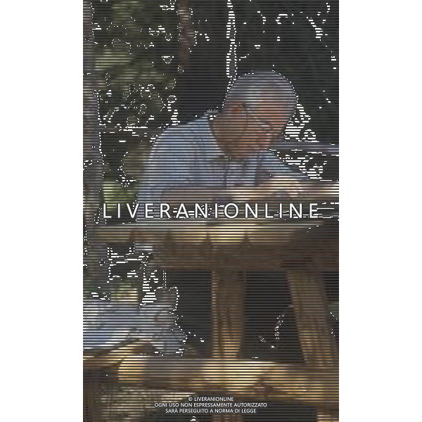 DIAP-RETROSPETTIVA FRANCESCO COSSIGA POLITICO NELLA FOTO FRANCESCO COSSIGA PRESIDENTE DELLA REPUBBLICA ITALIANA IN VACANZA A CANSIGLIO NELL\'ANNO 1985 FOTO RENATO LANI-AG ALDO LIVERANI SAS