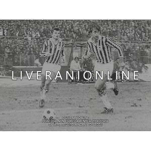 ST-RETROSPETTIVA DOMENICO MAROCCHINO CALCITORE NELLA FOTO DOMENICO MAROCCHINO CON LA MAGLIA DELLA JUVENTUS AG ALDO LIVERANI SAS