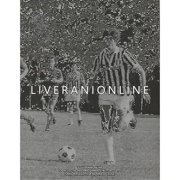 ST-RETROSPETTIVA DOMENICO MAROCCHINO CALCITORE NELLA FOTO DOMENICO MAROCCHINO CON LA MAGLIA DELLA JUVENTUS AG ALDO LIVERANI SAS