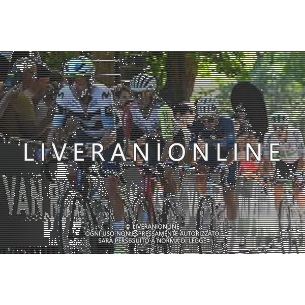 17-08-2025 Classica Di Amburgo; 2025, Movistar; Oliveira, Nelson; Waseberg; ©SIROTTI - AGENZIA ALDO LIVERANI SAS