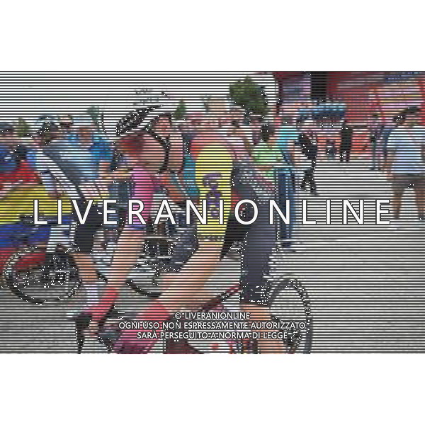24-08-2025 Vuelta A Espana; Tappa 02 Alba - Limone Piemonte; 2025, Lotto; Viviani, Elia; Alba; ©SIROTTI - AGENZIA ALDO LIVERANI SAS
