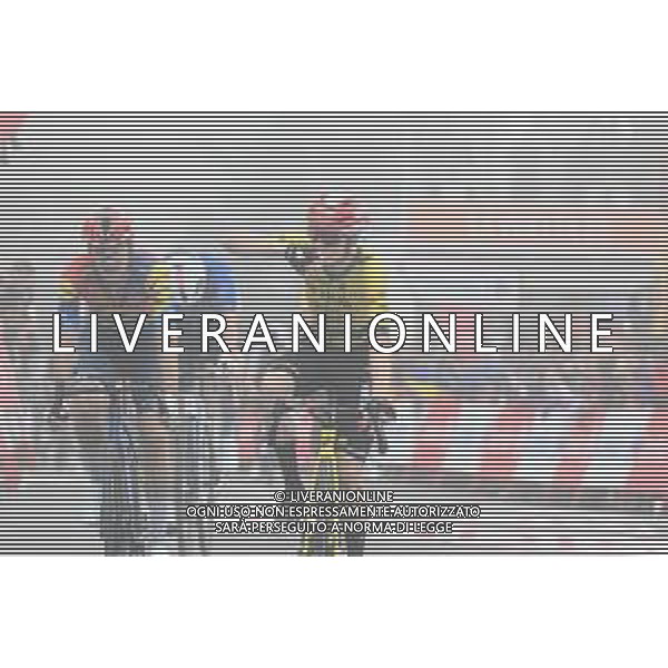 24-08-2025 Vuelta A Espana; Tappa 02 Alba - Limone Piemonte; 2025, Visma - Lease A Bike; 2025, Lidl - Trek; Vingegaard, Jonas; Ciccone, Giulio; Limone Piemonte; ©SIROTTI - AGENZIA ALDO LIVERANI SAS
