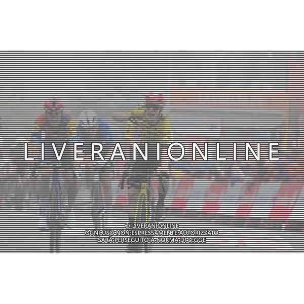 24-08-2025 Vuelta A Espana; Tappa 02 Alba - Limone Piemonte; 2025, Visma - Lease A Bike; 2025, Lidl - Trek; Vingegaard, Jonas; Ciccone, Giulio; Limone Piemonte; ©SIROTTI - AGENZIA ALDO LIVERANI SAS