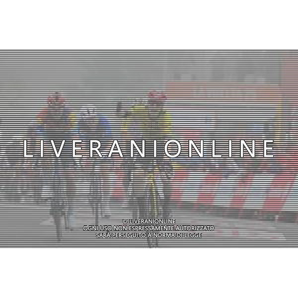 24-08-2025 Vuelta A Espana; Tappa 02 Alba - Limone Piemonte; 2025, Visma - Lease A Bike; 2025, Lidl - Trek; 2025, Groupama - Fdj; Vingegaard, Jonas; Ciccone, Giulio; Gaudu, David; Limone Piemonte; ©SIROTTI - AGENZIA ALDO LIVERANI SAS