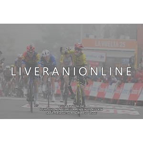 24-08-2025 Vuelta A Espana; Tappa 02 Alba - Limone Piemonte; 2025, Visma - Lease A Bike; 2025, Lidl - Trek; 2025, Groupama - Fdj; Vingegaard, Jonas; Ciccone, Giulio; Gaudu, David; Limone Piemonte; ©SIROTTI - AGENZIA ALDO LIVERANI SAS