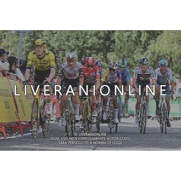 28-08-2025 Vuelta A Espana; Tappa 06 Olot - Pal; 2025, Visma - Lease A Bike; 2025, Uae Team Emirates - Xrg; Jorgenson, Matteo; Vingegaard, Jonas; Almeida, Joao; Pal; ©SIROTTI - AGENZIA ALDO LIVERANI SAS