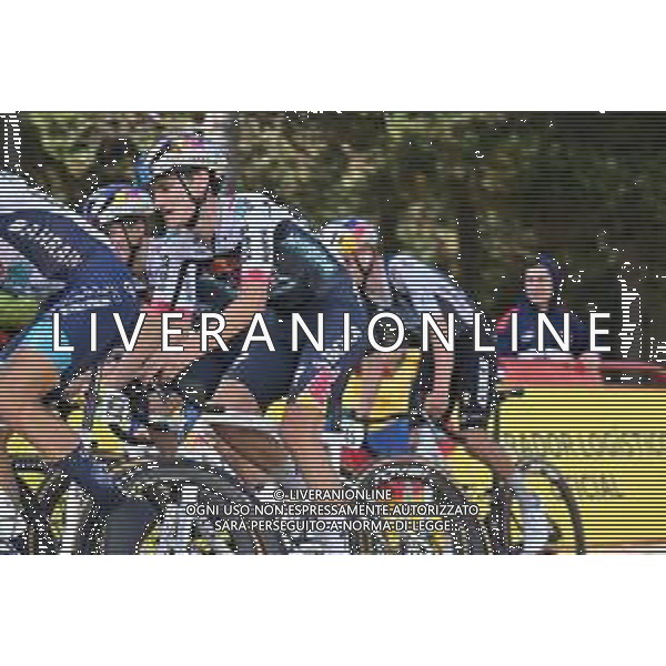 28-08-2025 Vuelta A Espana; Tappa 06 Olot - Pal; 2025, Red Bull - Bora Hansgrohe; Pellizzari, Giulio; Pal; ©SIROTTI - AGENZIA ALDO LIVERANI SAS