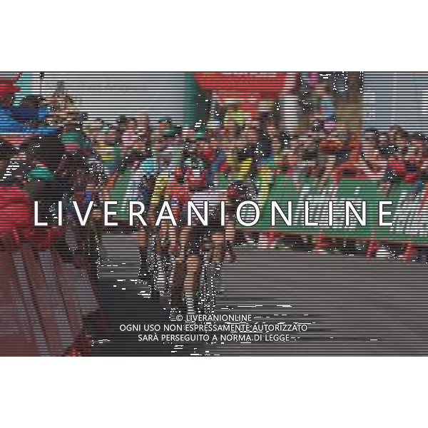 28-08-2025 Vuelta A Espana; Tappa 06 Olot - Pal; 2025, Uae Team Emirates - Xrg; 2025, Visma - Lease A Bike; Almeida, Joao; Vingegaard, Jonas; Pal; ©SIROTTI - AGENZIA ALDO LIVERANI SAS