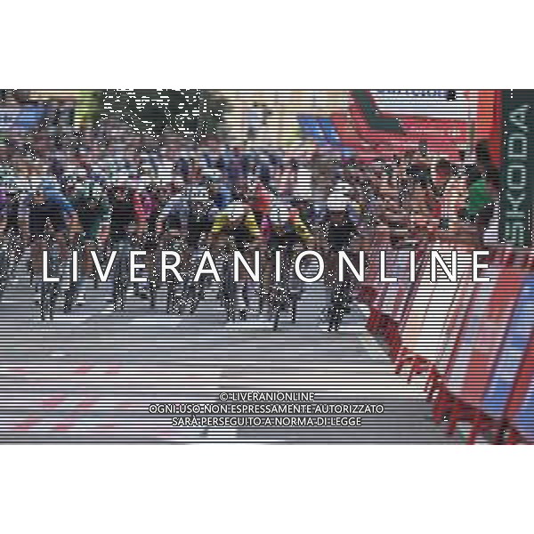 30-08-2025 Vuelta A Espana; Tappa 08 Monzon Templario - Zaragoza; 2025, Alpecin - Deceuninck; 2025, Lotto; Philipsen, Jasper; Viviani, Elia; Zaragoza; FOTO STEFANO SIROOTTI-AG ALDO LIVERANI SAS