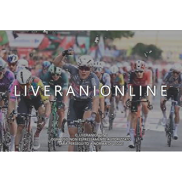 30-08-2025 Vuelta A Espana; Tappa 08 Monzon Templario - Zaragoza; 2025, Alpecin - Deceuninck; 2025, Lotto; Philipsen, Jasper; Viviani, Elia; Zaragoza; FOTO STEFANO SIROOTTI-AG ALDO LIVERANI SAS