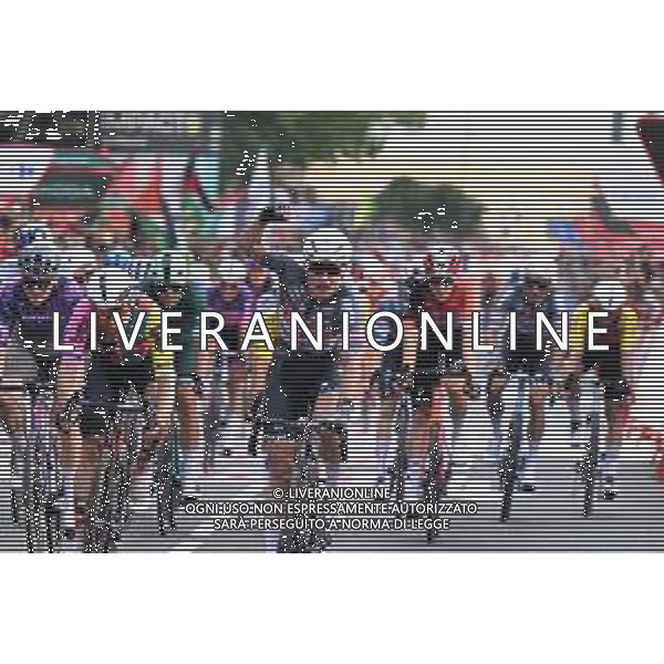 30-08-2025 Vuelta A Espana; Tappa 08 Monzon Templario - Zaragoza; 2025, Alpecin - Deceuninck; 2025, Lotto; Philipsen, Jasper; Viviani, Elia; Zaragoza; FOTO STEFANO SIROOTTI-AG ALDO LIVERANI SAS