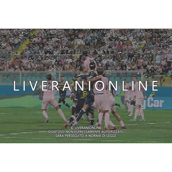Palermo FC vs Frosinone Calcio Serie B 25/26 presso lo stadio Renzo Barbera di Palermo il 30/08/25 ©FEDERICO SERRA - AGENZIA ALDO LIVERANI SAS