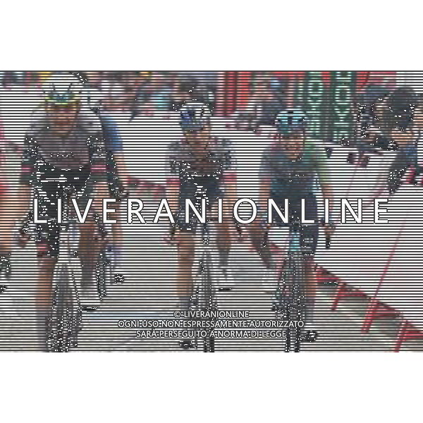 31-08-2025 Vuelta A Espana; Tappa 09 Alfaro - Estacion De Valdezcaray; 2025, Red Bull - Bora Hansgrohe; Hindley, Jai; Estacion De Valdezcaray; ©SIROTTI - AGENZIA ALDO LIVERANI SAS
