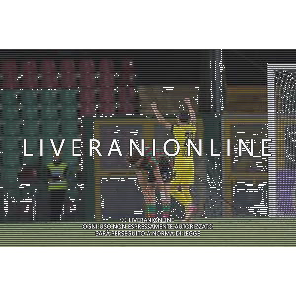 TERNANA - ASCOLI CAMPIONATO CALCIO SERIE C LEGA PRO 31.08.2025 NELLA FOTO ESULTANZA FILIPPO PALAZZINO E DELUSIONE TRIPI FILIPPO ©LUCA MARCHETTI - AGENZIA ALDO LIVERANI SA