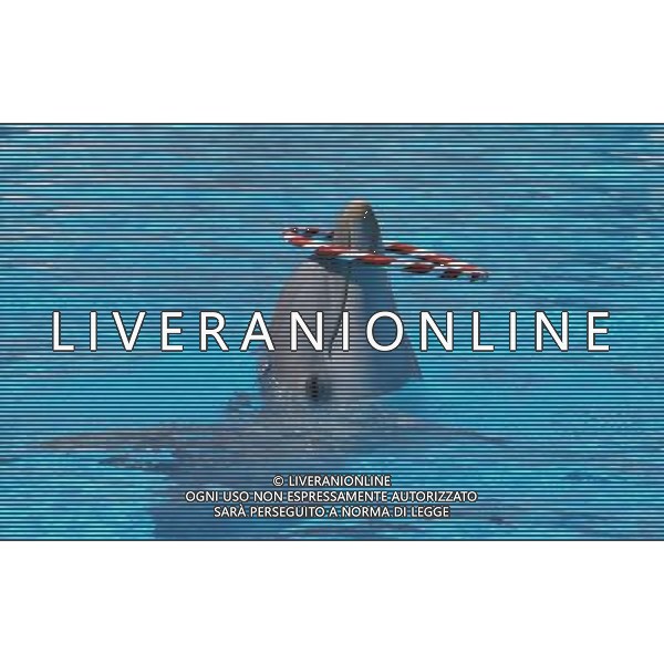 NELLA FOTO IL DELFINO AGENZIA ALDO LIVERANI IFC