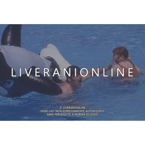 DIAP-RETROSPETTIVA PATRZIO ROVERSI CONDUTTORE TELEVISIVO NELLA FOTO PATRIZIO ROVERSI CON SYUSY BLADY NELL\'ANNO 1989 AG ALDO LIVERANI SAS 