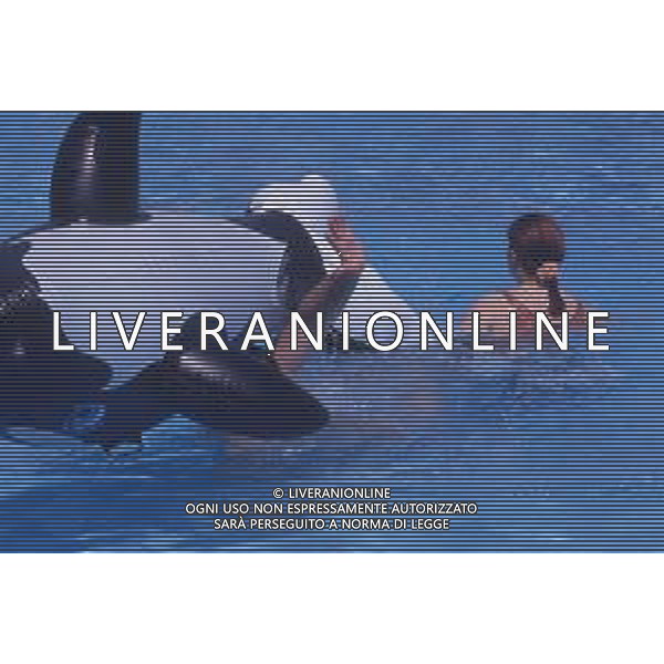 DIAP-RETROSPETTIVA PATRZIO ROVERSI CONDUTTORE TELEVISIVO NELLA FOTO PATRIZIO ROVERSI CON SYUSY BLADY NELL\'ANNO 1989 AG ALDO LIVERANI SAS 