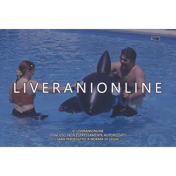 DIAP-RETROSPETTIVA PATRZIO ROVERSI CONDUTTORE TELEVISIVO NELLA FOTO PATRIZIO ROVERSI CON SYUSY BLADY NELL\'ANNO 1989 AG ALDO LIVERANI SAS 