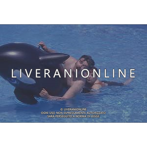 DIAP-RETROSPETTIVA PATRZIO ROVERSI CONDUTTORE TELEVISIVO NELLA FOTO PATRIZIO ROVERSI CON SYUSY BLADY NELL\'ANNO 1989 AG ALDO LIVERANI SAS 