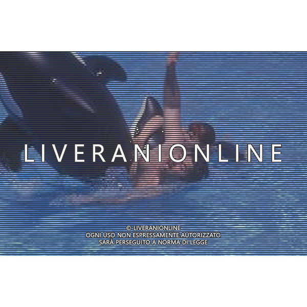 DIAP-RETROSPETTIVA PATRZIO ROVERSI CONDUTTORE TELEVISIVO NELLA FOTO PATRIZIO ROVERSI CON SYUSY BLADY NELL\'ANNO 1989 AG ALDO LIVERANI SAS 